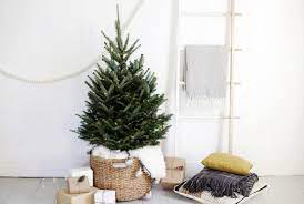 Bolga fan, set of 3. Christmas Tree In Basket A Simple Christmas Tree Display