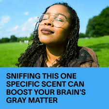 In the study, 28 women applied rose oil to their clothes daily for a month,  while 22 others sprayed plain water. After four weeks, MRI scans revealed  that the rose group had