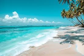 Sandy Tropical Beach With Palm Trees And Clear Sky