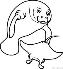 Jpg source use the download button to find out the full image of manta ray coloring pages collection, and download it for a computer. Manatee And A Manta Ray Coloring Page Coloringall