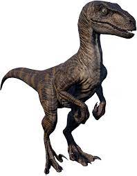 Use them in commercial designs under lifetime, perpetual & worldwide rights. Velociraptor Jurassic World Evolution Wiki Fandom