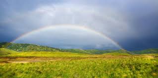 Oltre al consolato a catania, la romania ha altre dieci rappresentanze in italia. Consolato Di Romania A Catania