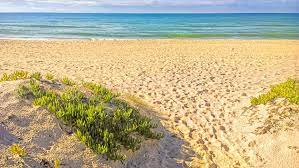 It's a more subdued affair that has avoided the mass development of other nearby beaches in the algarve. A Guide To Faro Beaches