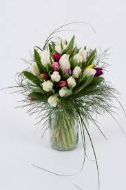 Che il tuo sia un buon compleanno, cara amica per me speciale!, ecco questo può essere uno dei messaggi che i fiori sono in grado di comunicare alla persona interessata. Fiori Per Compleanno Flowersup