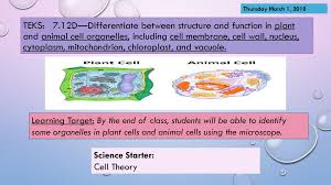 Create your own flashcards and study sets or choose from millions created by other with quizlet you can: Tuesday February 27 2018 Teks 7 12d Differentiate Between Structure And Function In Plant And Animal Cell Organelles Including Cell Membrane Cell Ppt Download