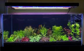 Buy a new aquarium, and you often get hood lights that are. Diy Led Strips The Planted Tank Forum