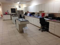 Check spelling or type a new query. 4th Street Pet Hospital 3125 4th Street North Saint Petersburg Reviews And Appointments Topvet