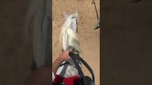مالعب في شعرها غير النسيم اه يا محبوب داعب وجنتيه ولا حنى على ثغرها غير امها والذي ما خصها تحرم Youtube