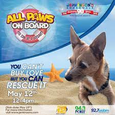 Looking for a new furry friend? All Paws On Board Dog Adoption Event At Jenkinson S Boardwalk