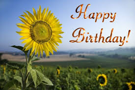 Funny Birthday Wishes In Italian Birthday Sunflower Sunflower Images Happy Birthday Sunflower Happy Birthday Mom