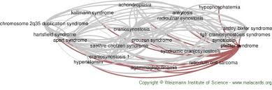Pfeiffer Syndrome Disease Malacards Research Articles Drugs Genes Clinical Trials