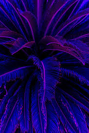 Purple aesthetic wallpaper iphone x. Purple Aesthetic Wallpaper Iphone X Novocom Top