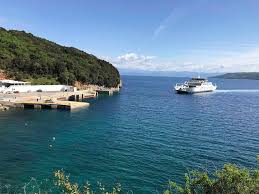 The settlement is administered as a part of istria county and kršan municipality. Martinscica