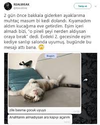Sym Adli Kullanicinin Words Panosundaki Pin Komik Seyler Komik Mizah