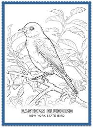 Bird Pictures To Color And Print State Bird Coloring Pages By Usa Facts For Kids Bird Coloring Pages Flag Coloring Pages Flower Coloring Pages