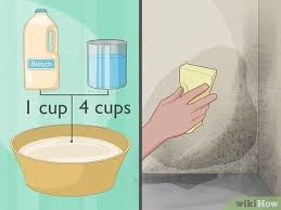What does mold in a basement smell like? 3 Easy Ways To Eliminate Musty Basement Odor Wikihow