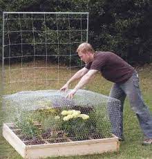 Chicken coop wire buyer's guide. Guest Articles Archives Jungle Taming With Bill Kunze Garden Cage Garden Protection Chicken Wire Garden Fence