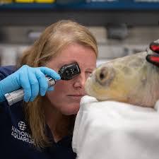 Lauren Clodfelter's Instagram, Twitter & Facebook