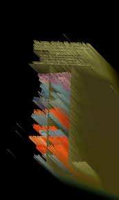 Image result for Wolffiella welwitschii