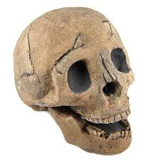 4.3 out of 5 stars. Myard Fireproof Imitated Human Fire Pit Skull Gas Log For Ng Lp Wood Fireplace Firepit Campfire Halloween Decor Bbq Qty 1 Brown