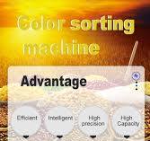 China Factory 1000kg/h Digital Color Sorter for Raisins