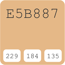 Pantone Pms Skin Tone 7 E5b887 Hex Color Code Schemes