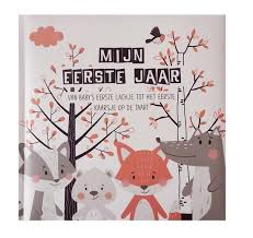 Bol Com Mijn Eerste Jaar Baby Invulboek Kraam Cadeau Baby S Eerste Jaar Boek