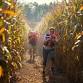 Maize Maze Laser Tag event image