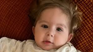 Minik Kuzey Arel Hayata Tutunmak İçin Yardım Bekliyor