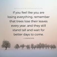 Education Is Not Preparation For Life Education Is Life Itself Meaning In Telugu If You Feel Like You Are Losing Everything Remember That Trees Lose Their Leaves Every Ye Losing Everything Quotes How Are You Feeling Better Days Are Coming