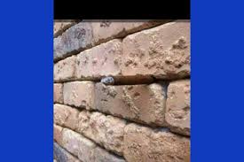 Image result for illusion pictures