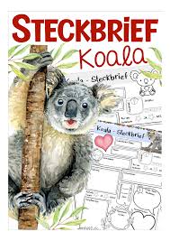 Steckbrief Koala Unterrichtsmaterial Im Fach Sachunterricht In 2020 Koala Unterrichtsmaterial Sachunterricht Grundschule