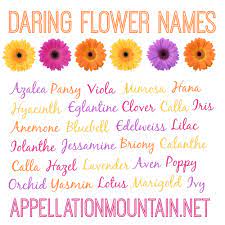 Daring Flower Names Appellationmointain Net Flower Names Unique Girl Names Girl Names