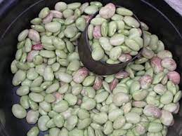 Harga kacang hijau saat ini. Empuk Empuk Gurih Kacang Roti