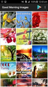 Good morning images with flowers and birds. Good Morning Images Hd Birds Nature Love Flowers Pour Android Telechargez L Apk