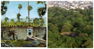 The Tower of Silence in Mumbai – a ...