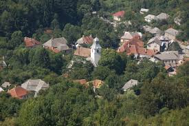 I saw fake news saying that. Rosia Montana Propatrimoniopropatrimonio