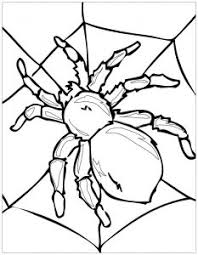 Everything has been classified in themes which are commonly used in primary education. Insects Free Printable Coloring Pages For Kids