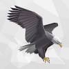 İşte beşiktaş'ın serdar dursun teklifi. Https Encrypted Tbn0 Gstatic Com Images Q Tbn And9gcqeneclcectfbn8vlmgthqunsu8urwfjjgcy62bab0vefrnyicc Usqp Cau