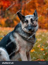 Photo & Image Portfolio by Aaron Waldschmidt