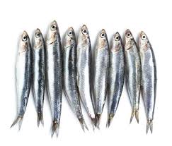 Anchoiade Anchovies Canned Anchovy Recipes