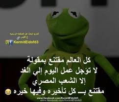 Pin On Eldofd3 Kermit