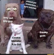 Only Out Gay Guy Cookie Monster Pjs Girl Freaky Goth