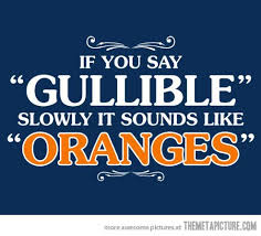 The Internet S Most Asked Questions Sayings Gullible Hilarious