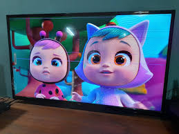 SINH CLASES PARTICULARES Primaria y Secundaria (Secundaria: 1er y 2do Año)  PAOLA "docente" 11-5895-7205