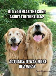 Pin By Katrina Steele On Funny Geek Cheesy Jokes Golden Retriever Funny Dog Jokes