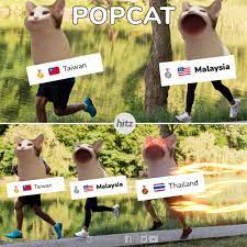 Check spelling or type a new query. Ro4qpig6utjgsm