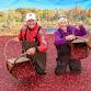 53rd Annual Warrens Cranberry Festival