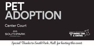 You can meet the local lucky dogs and lucky cats by tuning into our virtual adoption events or attending one of our in person adoption events.if you are interested in meeting a particular animal, please submit an application. Southpark Mall Adoption Event 4400 Sharon Rd Charlotte Nc 28211 3525 United States August 21 2021 Allevents In