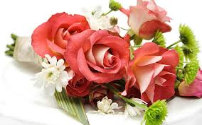 Flowers bouquet rose valentine il flowers color roses nature. Page 5 Rose Love Hd Wallpapers Free Download Wallpaperbetter